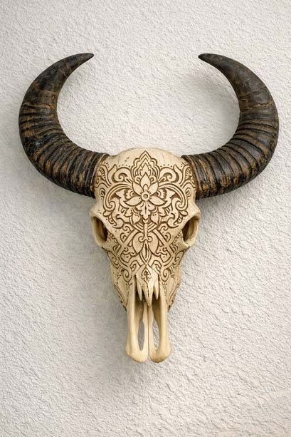 BUFFALO KAFATASI & AJUR EL OYMASI