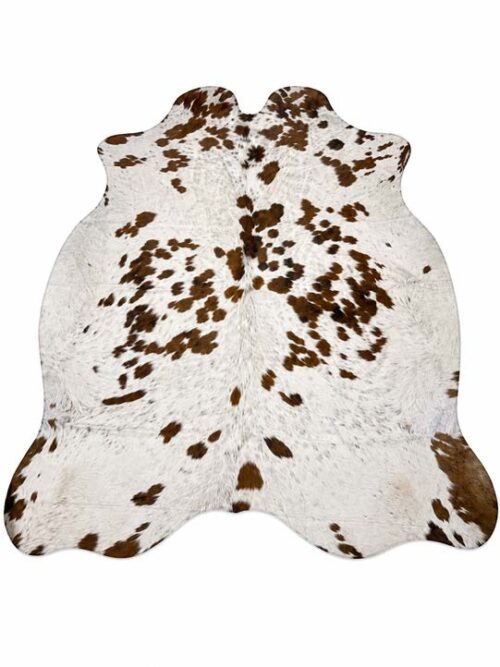 Appaloosa