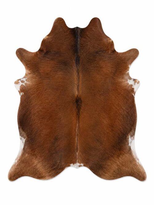 SIMMENTAL 2.20•2.10 cm
